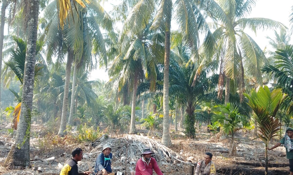sBhabinkamtibmas Desa Muntai Barat Sosialisasikan Ketahanan Pangan, Wujud Polisi Cinta Petani